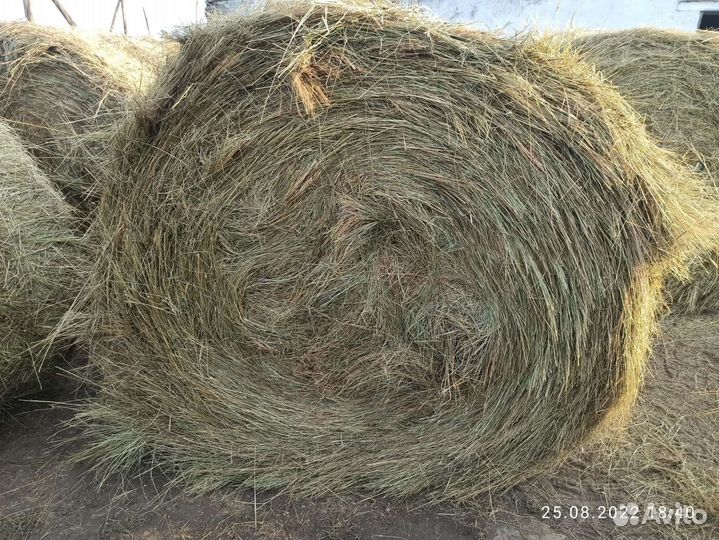 Сено в рулонах