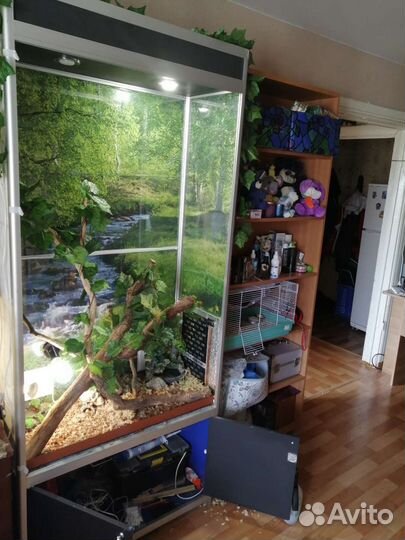 Террариум большой
