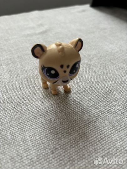 Lps стоячка пет