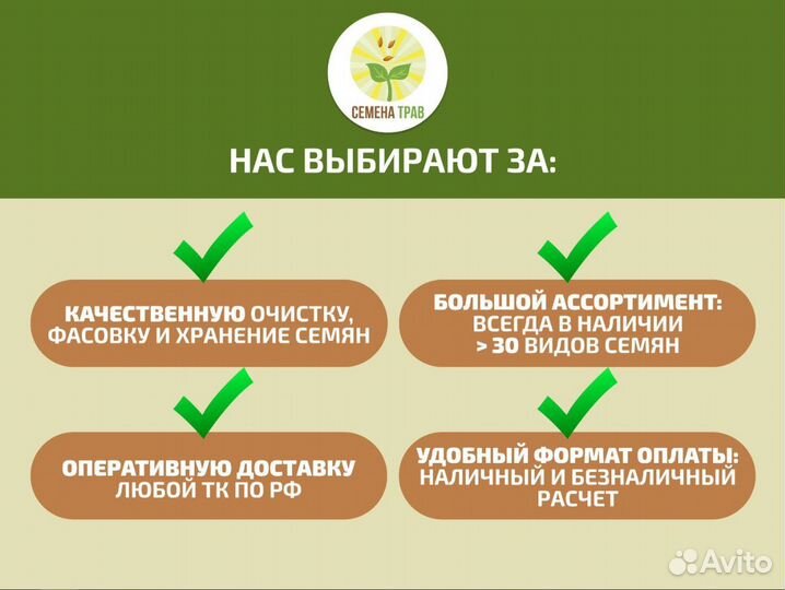 Семена газонной травы (Дания) playground