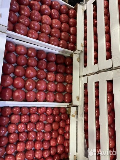 Помидоры