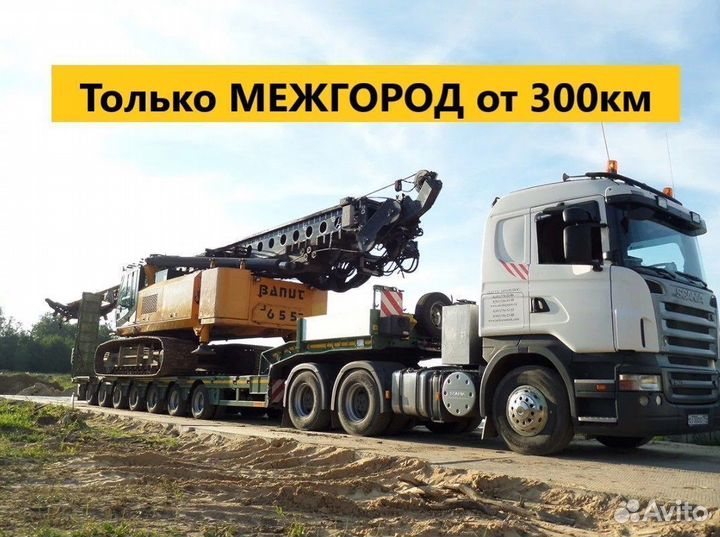 Аренда Трала