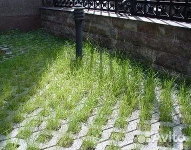 Газон от производителя