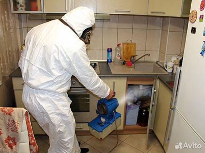 Дезинфекция методом тумана. Дезинсекция