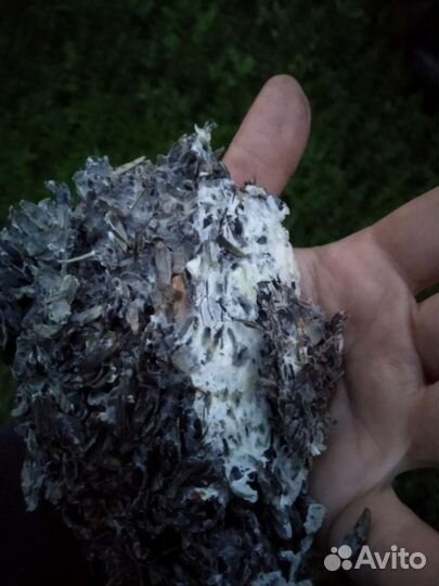 Отработанные грибные блоки лузга