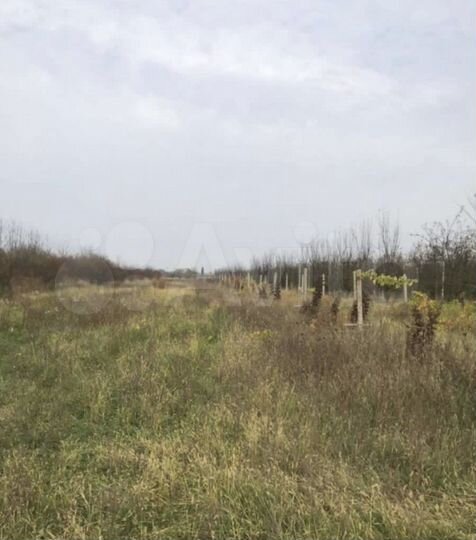 Участок 3,31 га (СНТ, ДНП)