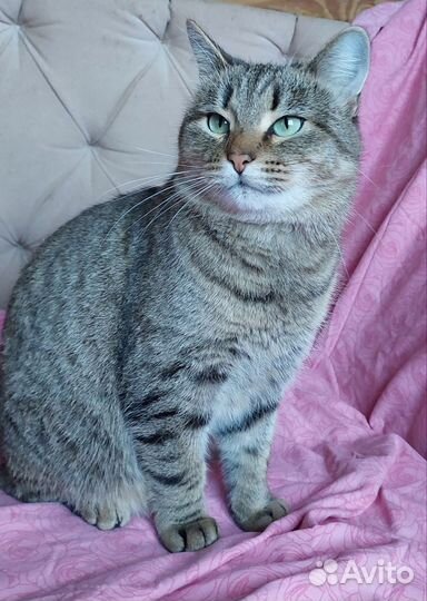 Европейская