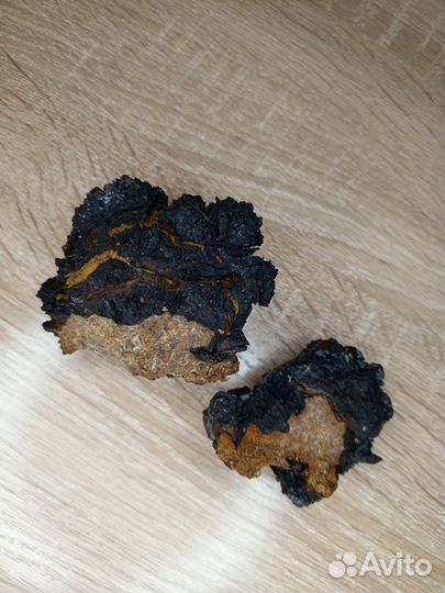 Березовая Чага