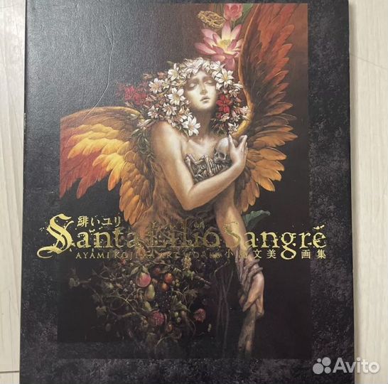 Santa Lilio Sangre Ayami Kojima артбук