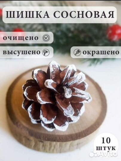 Шишки сосновые для поделок