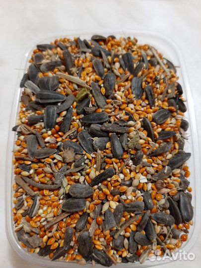 Пшеница,комбикорм,зерносмесь,сахар,мука и т.п 