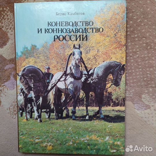 Книги конный спорт