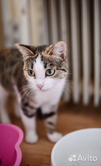 Каждый может потерять голову увидев нашу Нюшу)