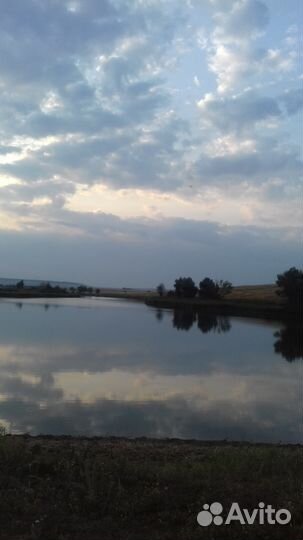 Пруд 36 га