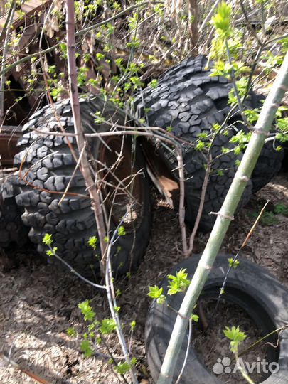 Колеса краз лаптежник