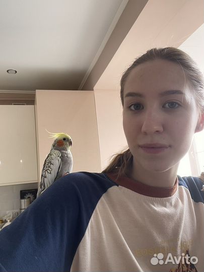 Выгул/Няня для питомца/Передержка