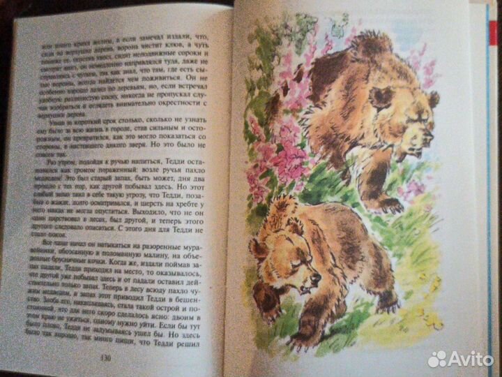 Внеклассное чтение