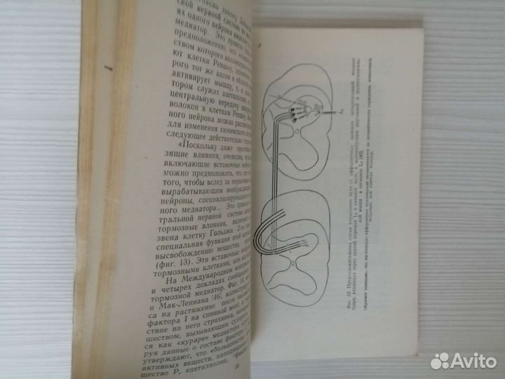 Бодрствующий мозг (1961г.) / Г. Мэгун