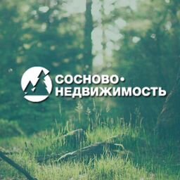 Сосново - Недвижимость