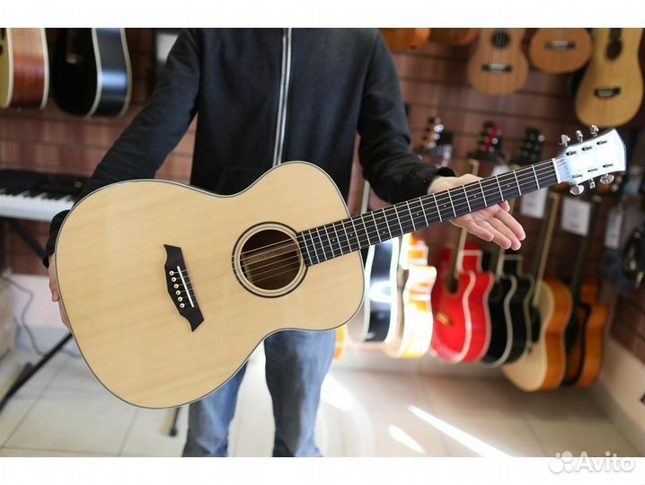 Parkwood S22-GT акустическая гитара с чехлом