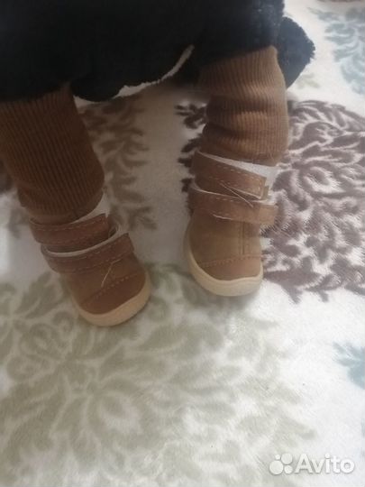 Обувь для собак