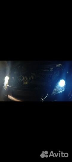 Лампочки Led D4S