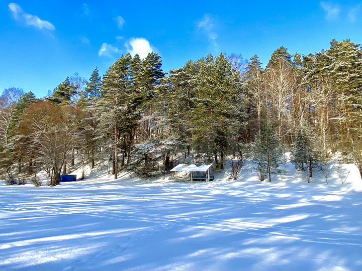 Участок 10 сот. (ИЖС)