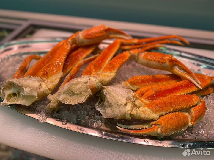 Клешни краба стригуна. Свежий улов