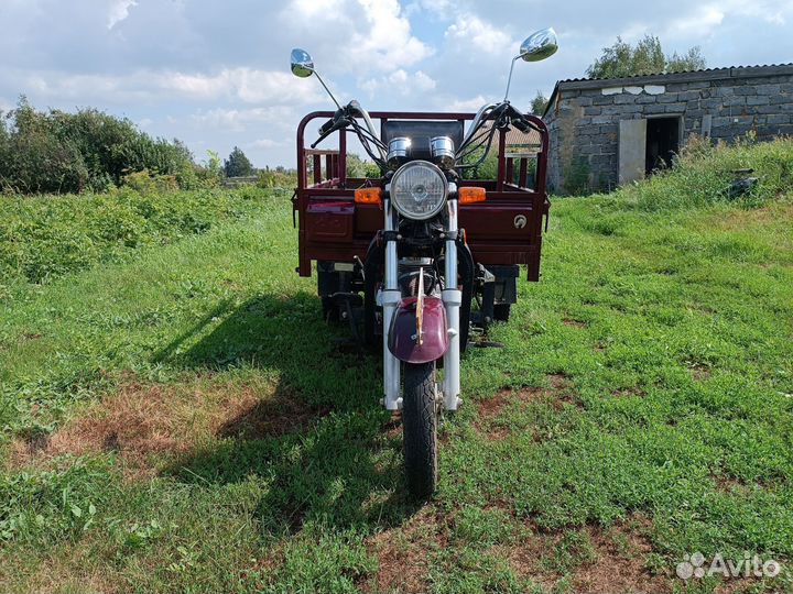 Продам муровей