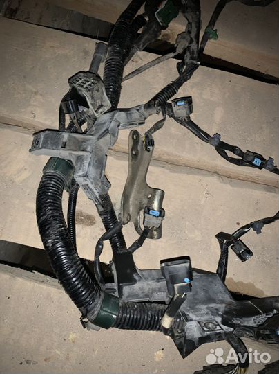 Подкапотная коса honda ridgeline