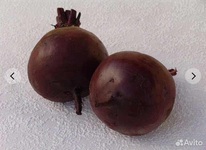 Семена свеклы Бона