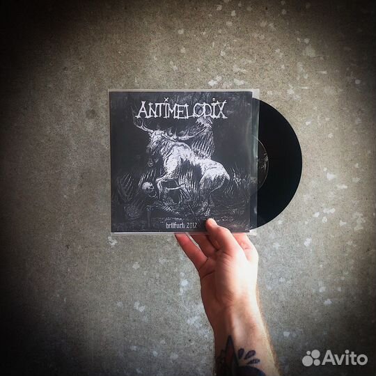 Antimelodix - Hellfuck