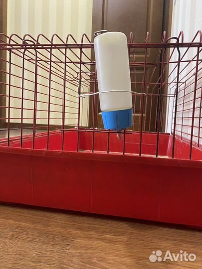 Клетка для кролика