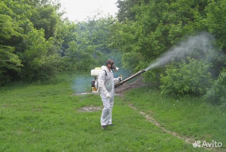 Уничтожение клопов тараканов грызунов плесени