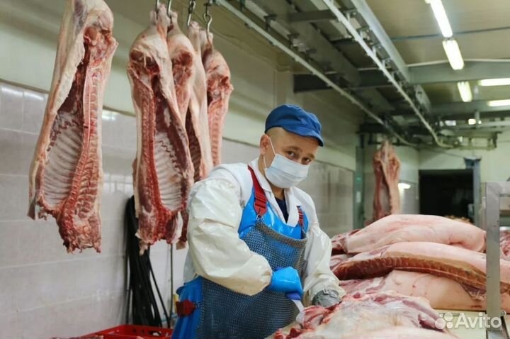 Ищу займ в производство говядины