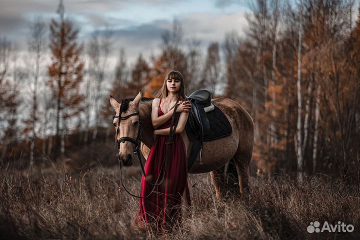 Фотограф, видеограф