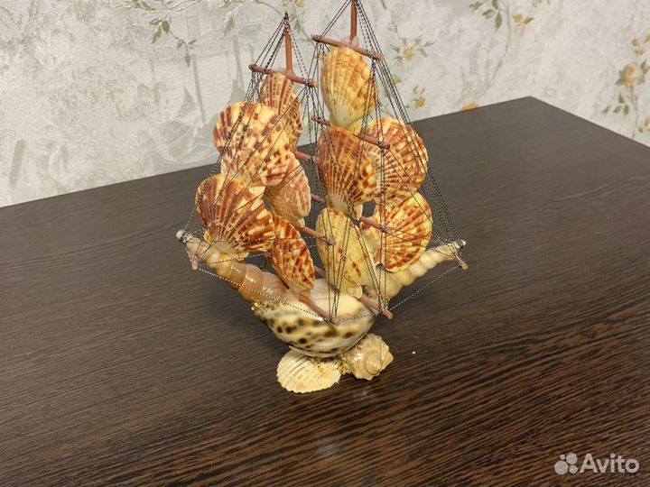Ракушка кораблик