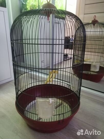 Клетка для попугая