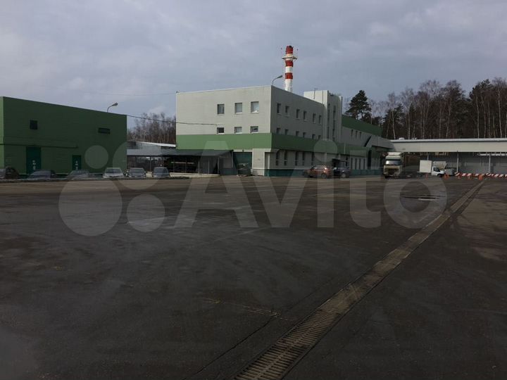 Сдам производственное помещение, 43000 м²