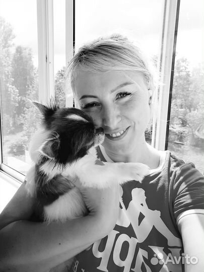 Упаковщица