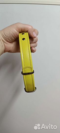 Ошейник для собаки средней породы