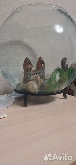 Аквариум с рыбками