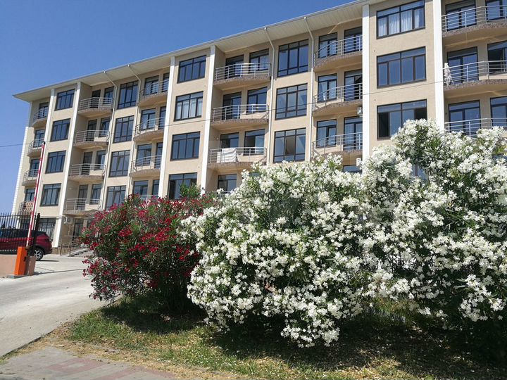 Квартира-студия, 28 м², 1/5 эт.