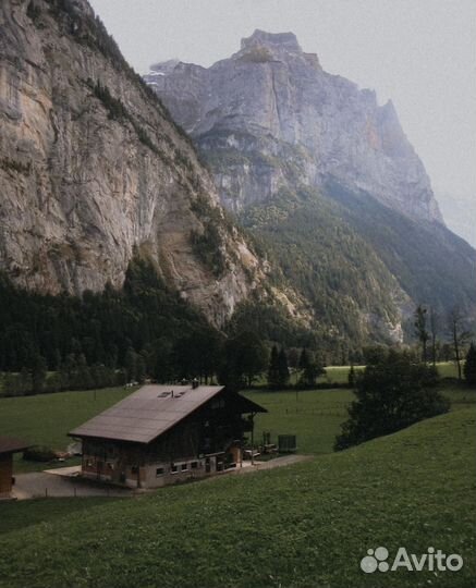 Пресеты Ташланов 2024