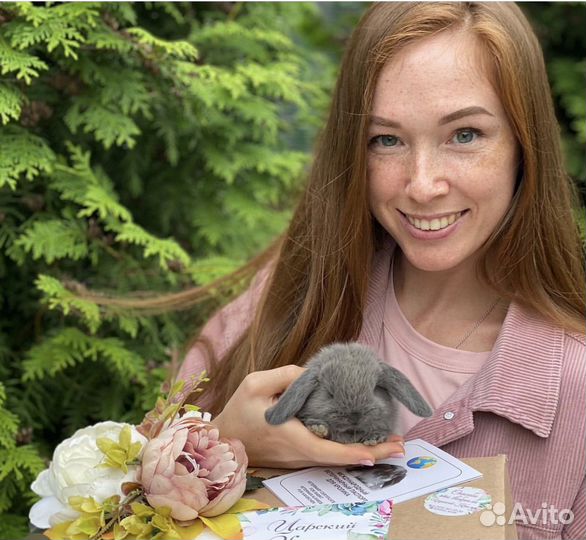 Декоративные кролики мини