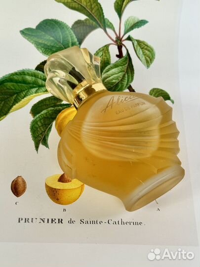 Винтажные Кубинские духи Alicia