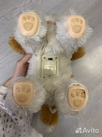 Собака робот