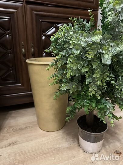 Искусственный самшит