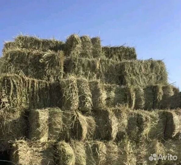 Сено луговое в тюках