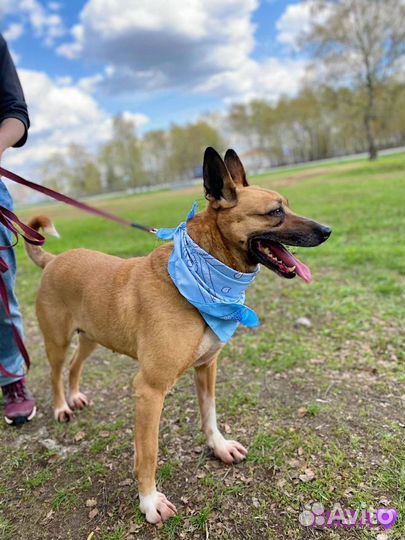 Замечательная девочка нуждается в своей человеке
